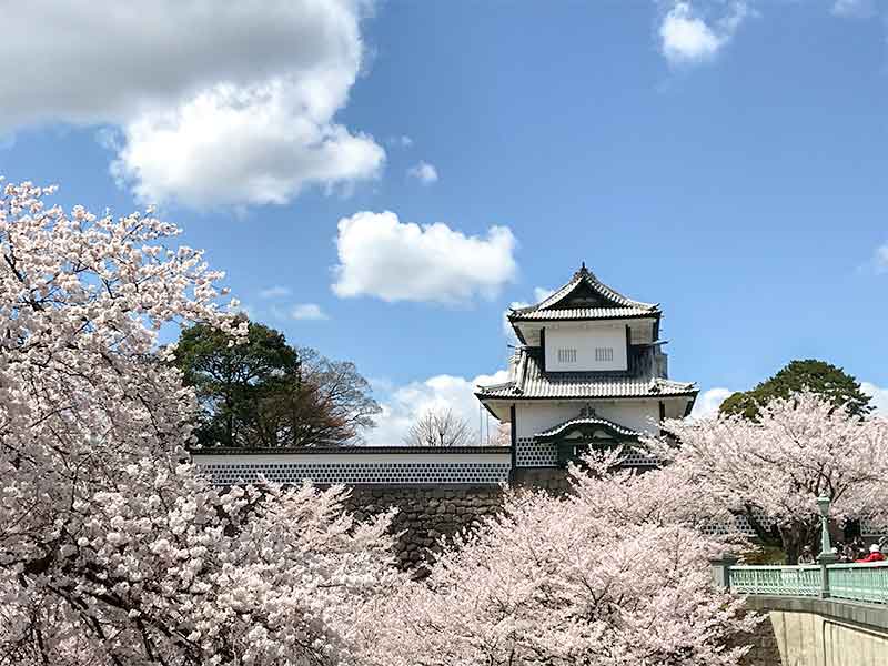 桜と石川門と兼六園