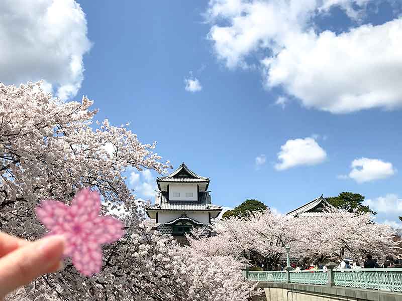 桜と石川門と兼六園