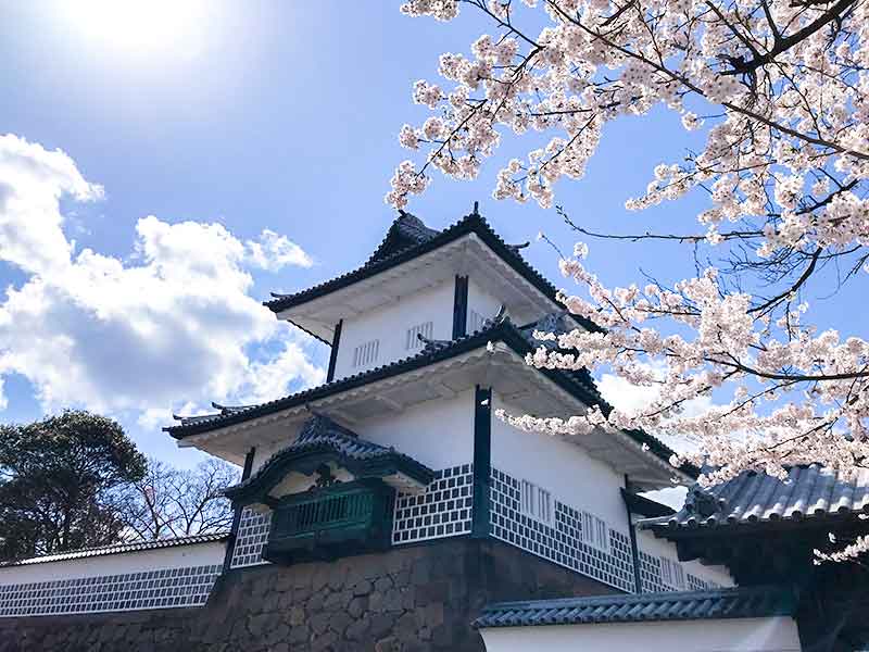 桜と石川門と兼六園